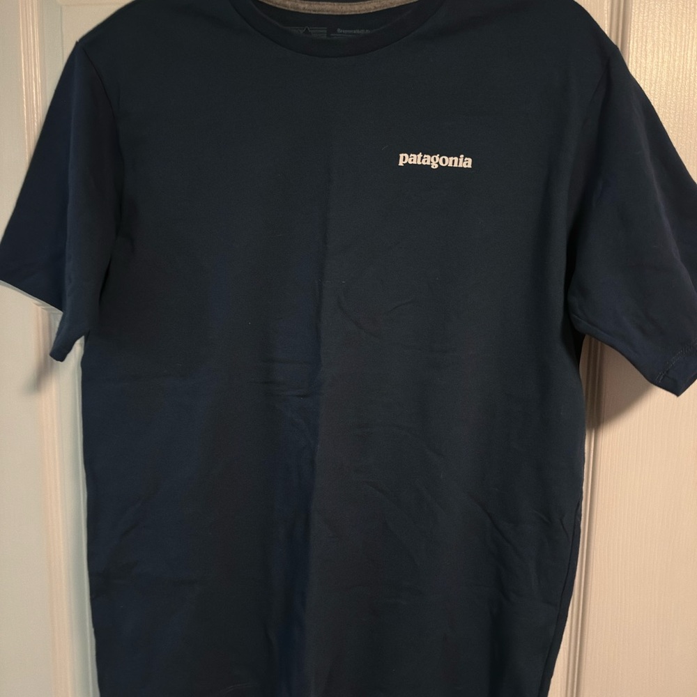 Patagonia Men's Blue T-Shirt